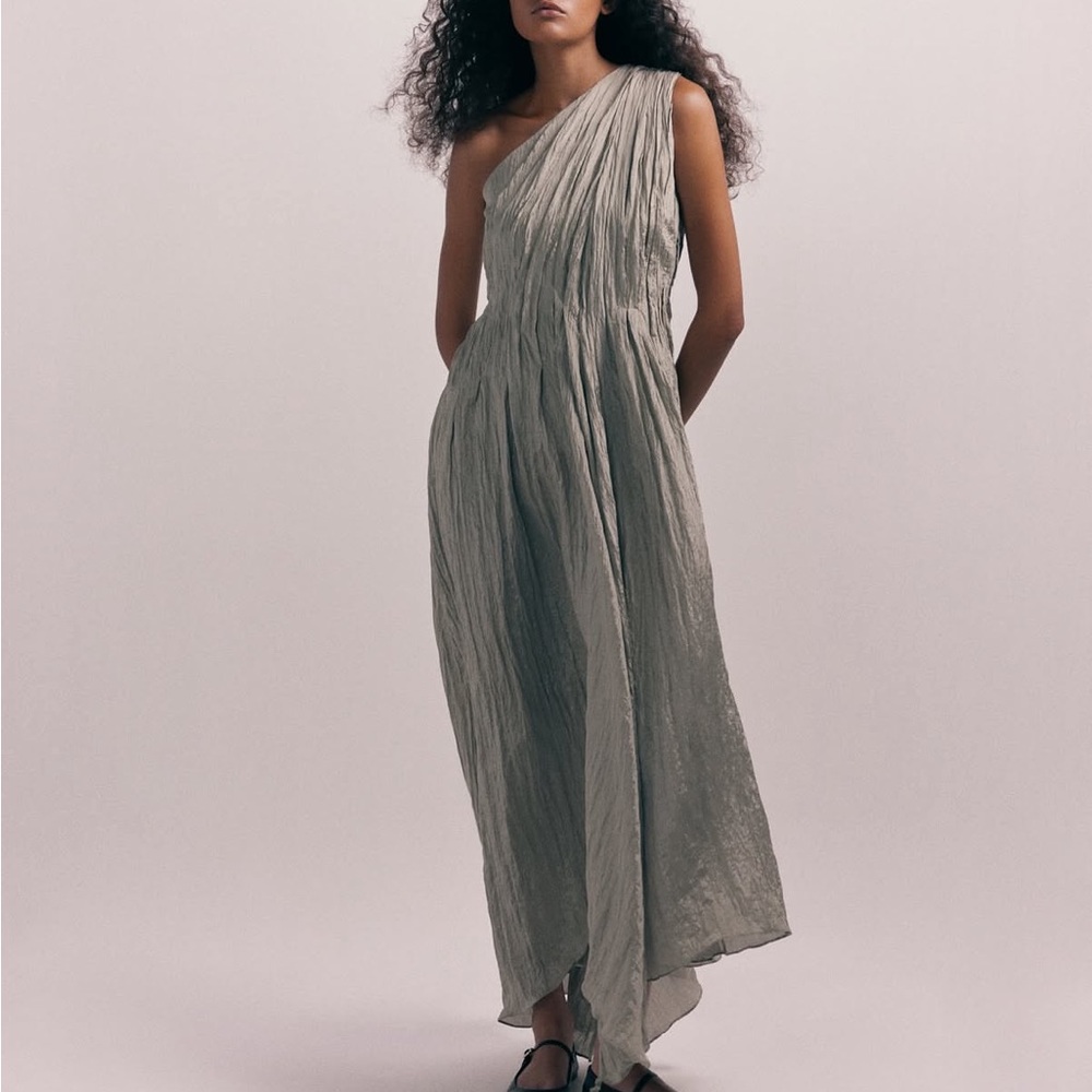 Abadia Sylvie Crinkled Dress NWT size 4 in brown